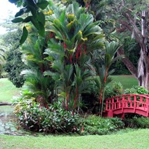 San Juan Botanical Garden