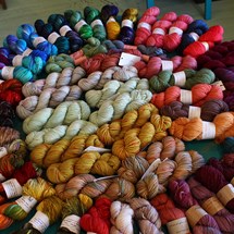 The House of Wool