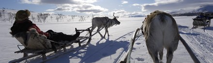 Sleigh Ride with Reindeer