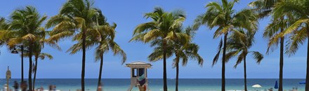 Las Olas Beach & Boulevard