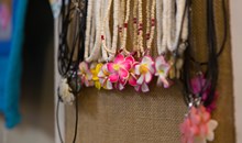 Collections (Makawao)