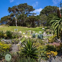 Wellington Botanic Garden
