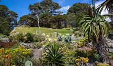 Wellington Botanic Garden