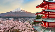 Mt Fuji and Hakone 1-Day