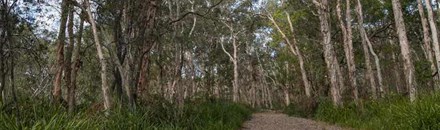 Googik Heritage Walking Track