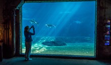 The Cargo Hold Restaurant