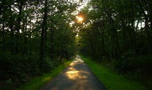 Cape Cod Rail Trail