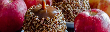 Savannah's Candy Kitchen