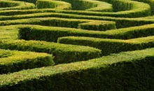The Bellingham Maze