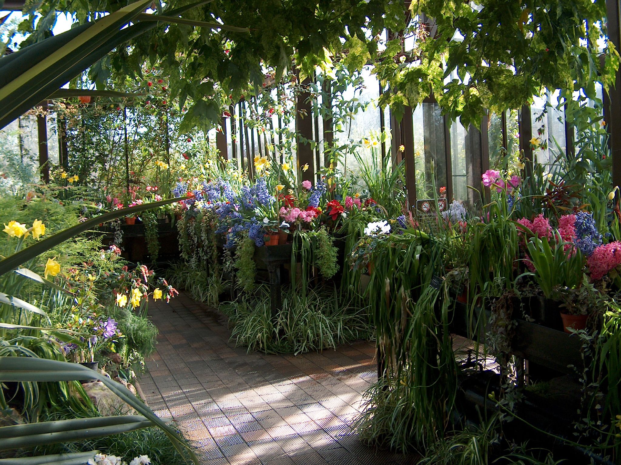 Botanic Gardens, Glasgow