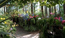 Glasgow Botanic Gardens