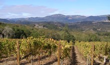 Wineries