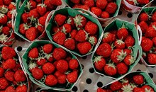 Place des Lices Market