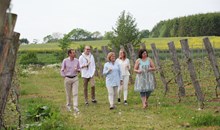 Vineyards
