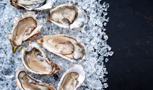 Shor American Seafood Grill