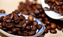 Kind Coffee