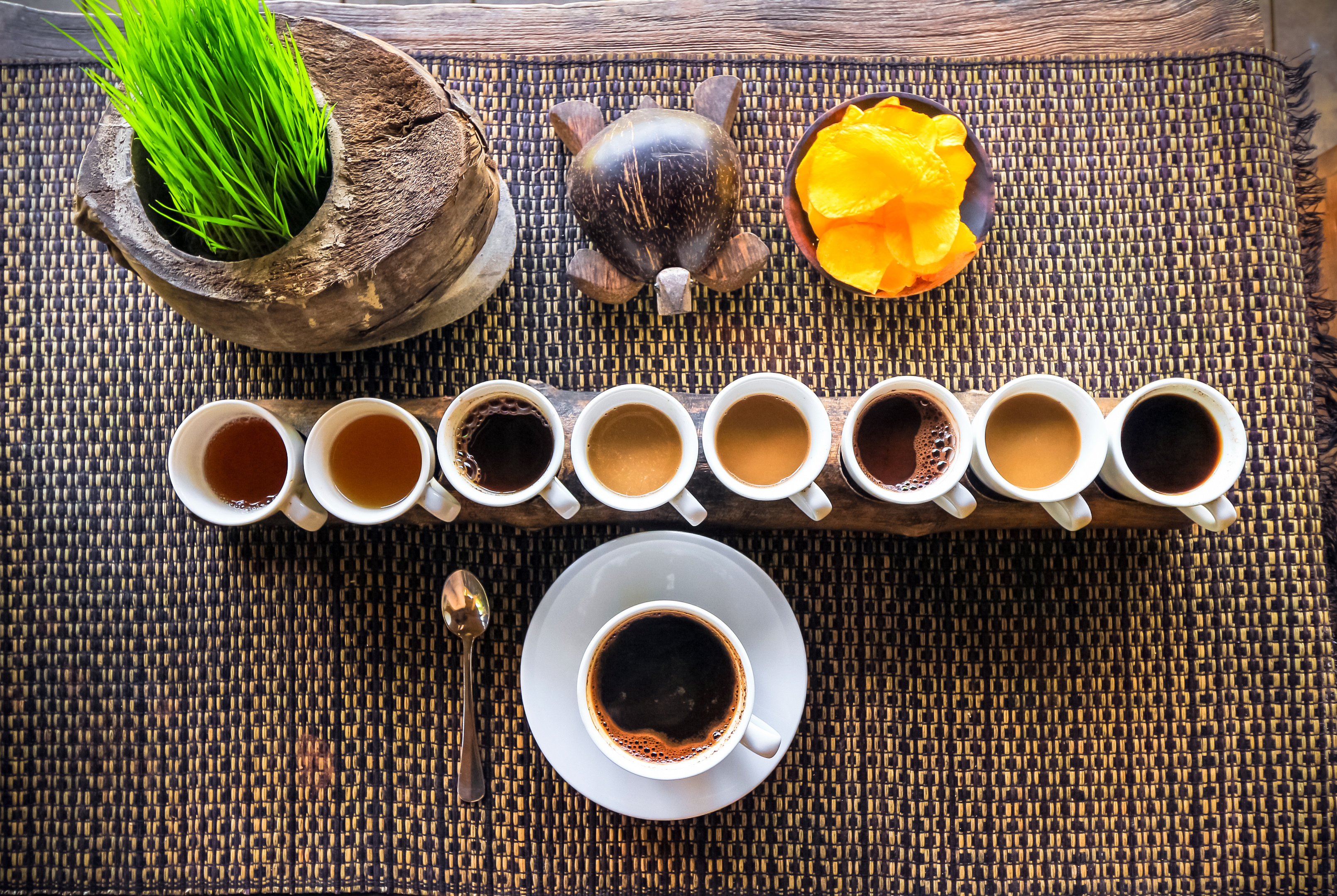 Luwak Coffee & Tea testing, Bali