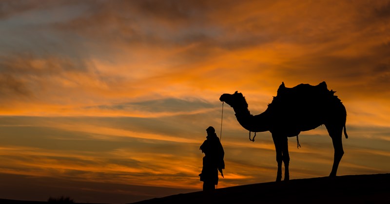 Jizan, Saudi Arabia | ArrivalGuides