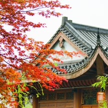 Qixia Mountain / 栖霞山