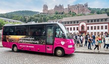 City and Castle Sightseeing Tour