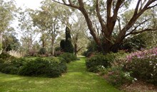 Hunter Region Botanic Gardens