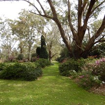 Hunter Botanic Gardens - Heatherbrae