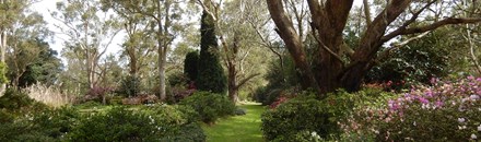 Hunter Botanic Gardens - Heatherbrae