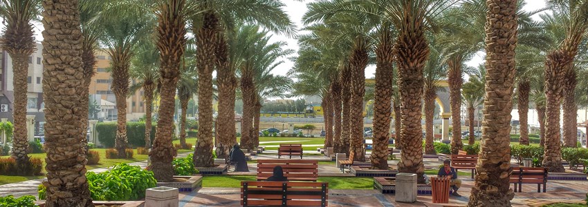 garden Jeddah