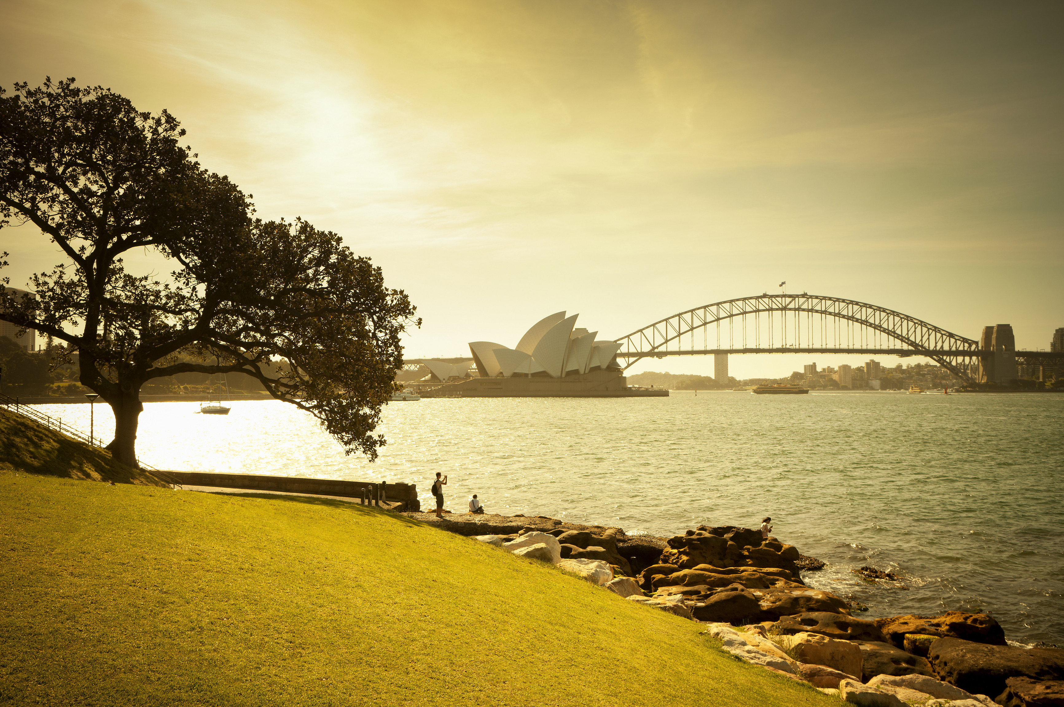 View of Sydney Harbour at sunset from Mrs Macquaries Chair in the Royal Botanic Gardens