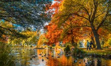 Best Time to Visit