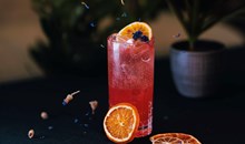 GinGin Cibeles