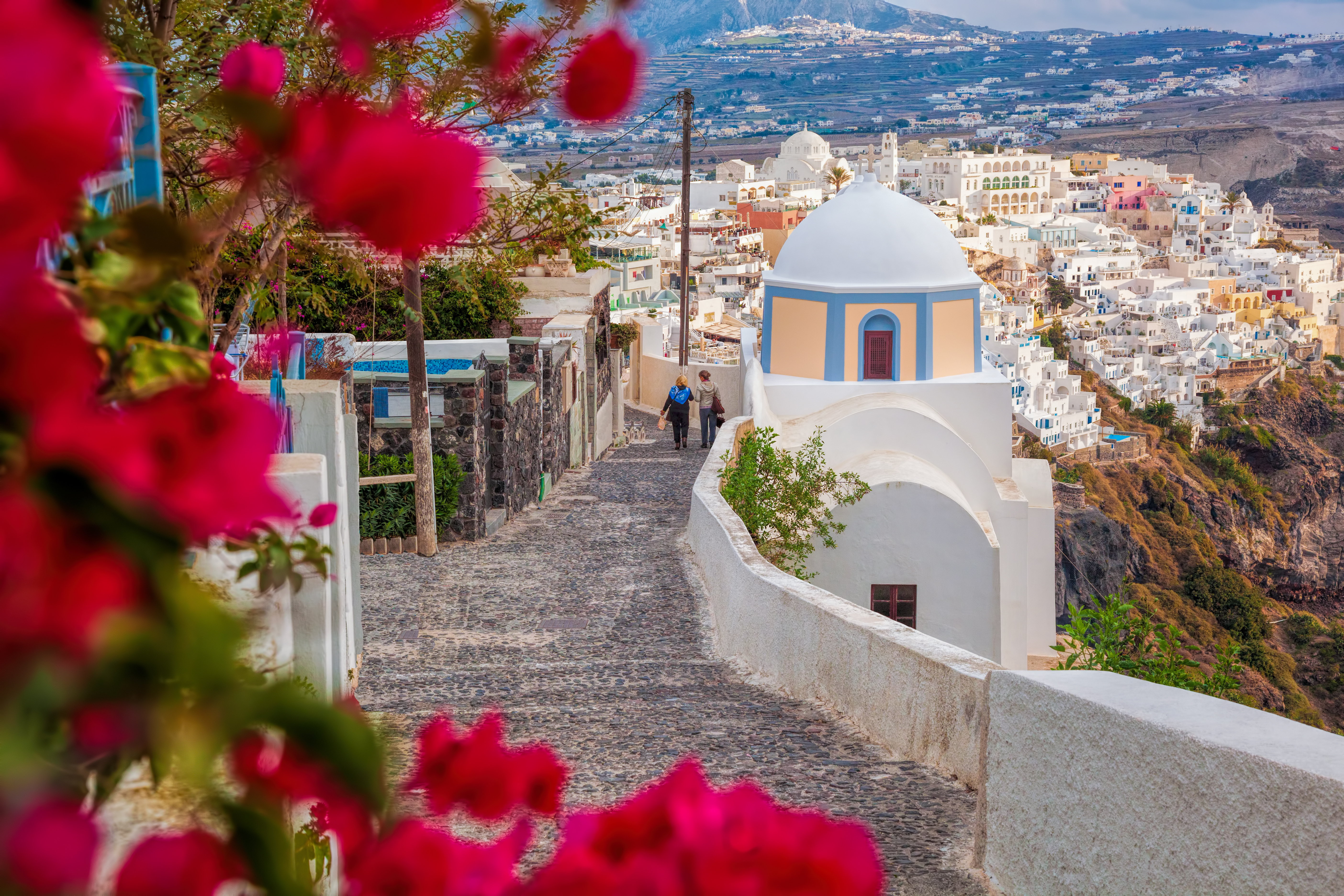 Spring time on Santorini island in Greece