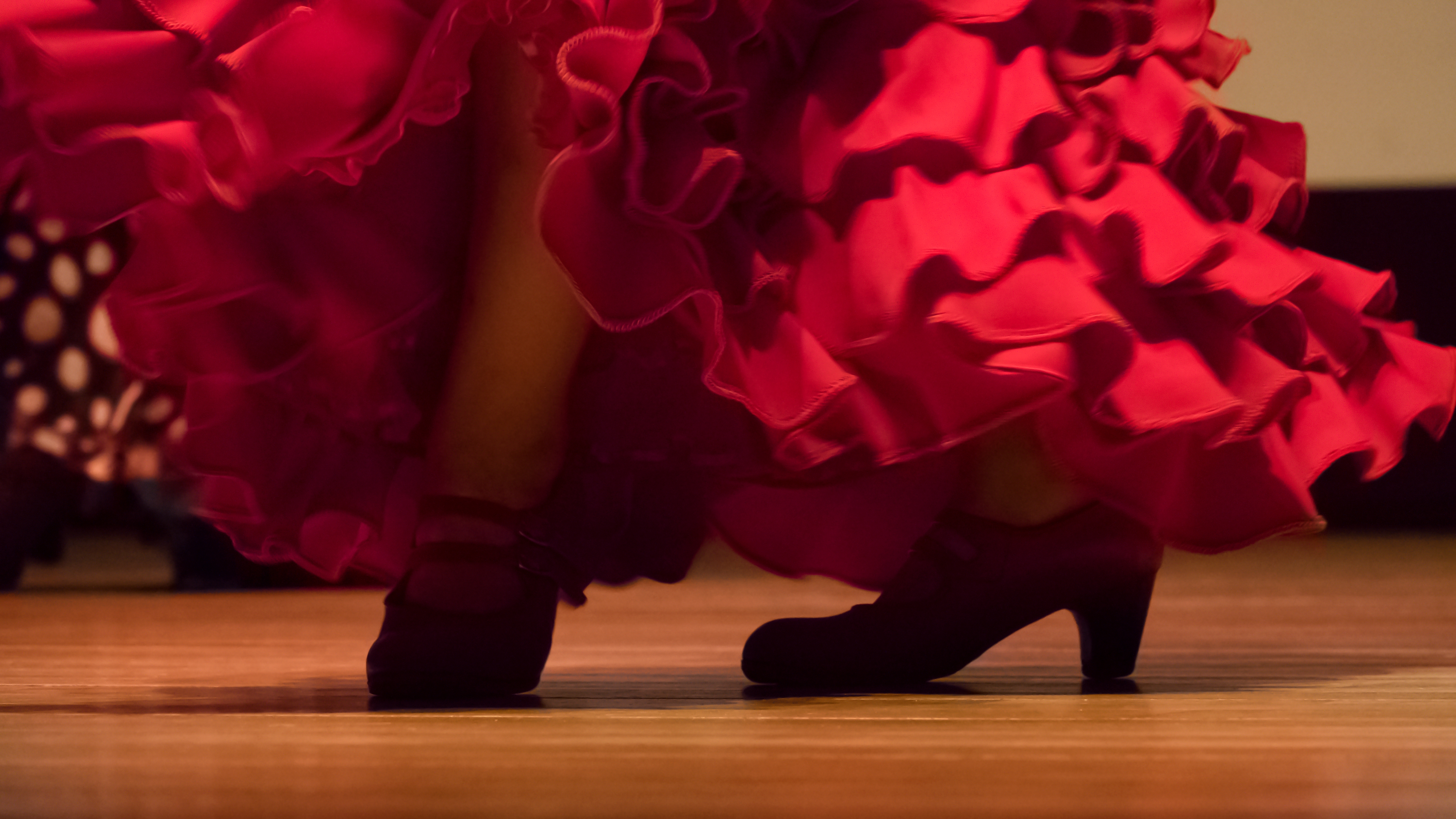 View of the Flamenco Dance on the stage