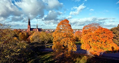 Uppsala, Sweden - Inactive account – ID 12019/Pixabay