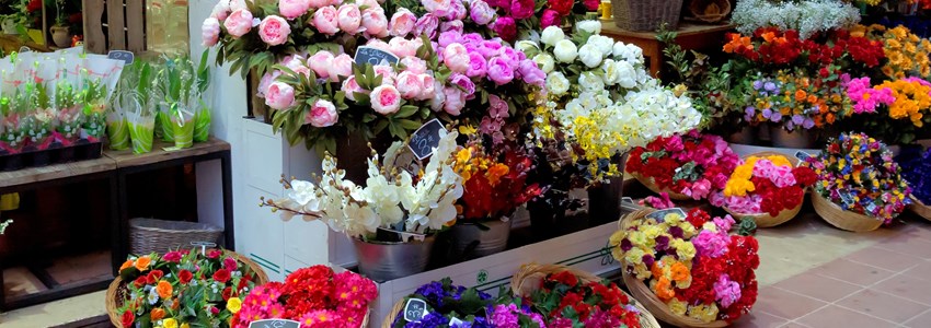 Outdoor flower market in Nice at night, France
