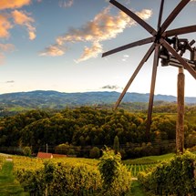 Wine Roads