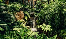 Central Forest Reserve National Park