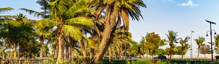 Yanbu Lakes