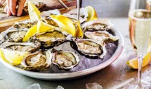 Hog Island Oyster Co.