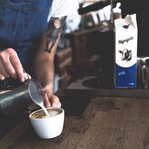 Tribe Coffee Roasting & Café
