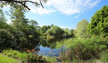 Mounts Botanical Garden