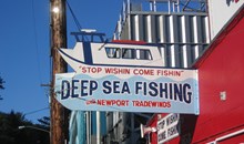 Newport Tradewinds