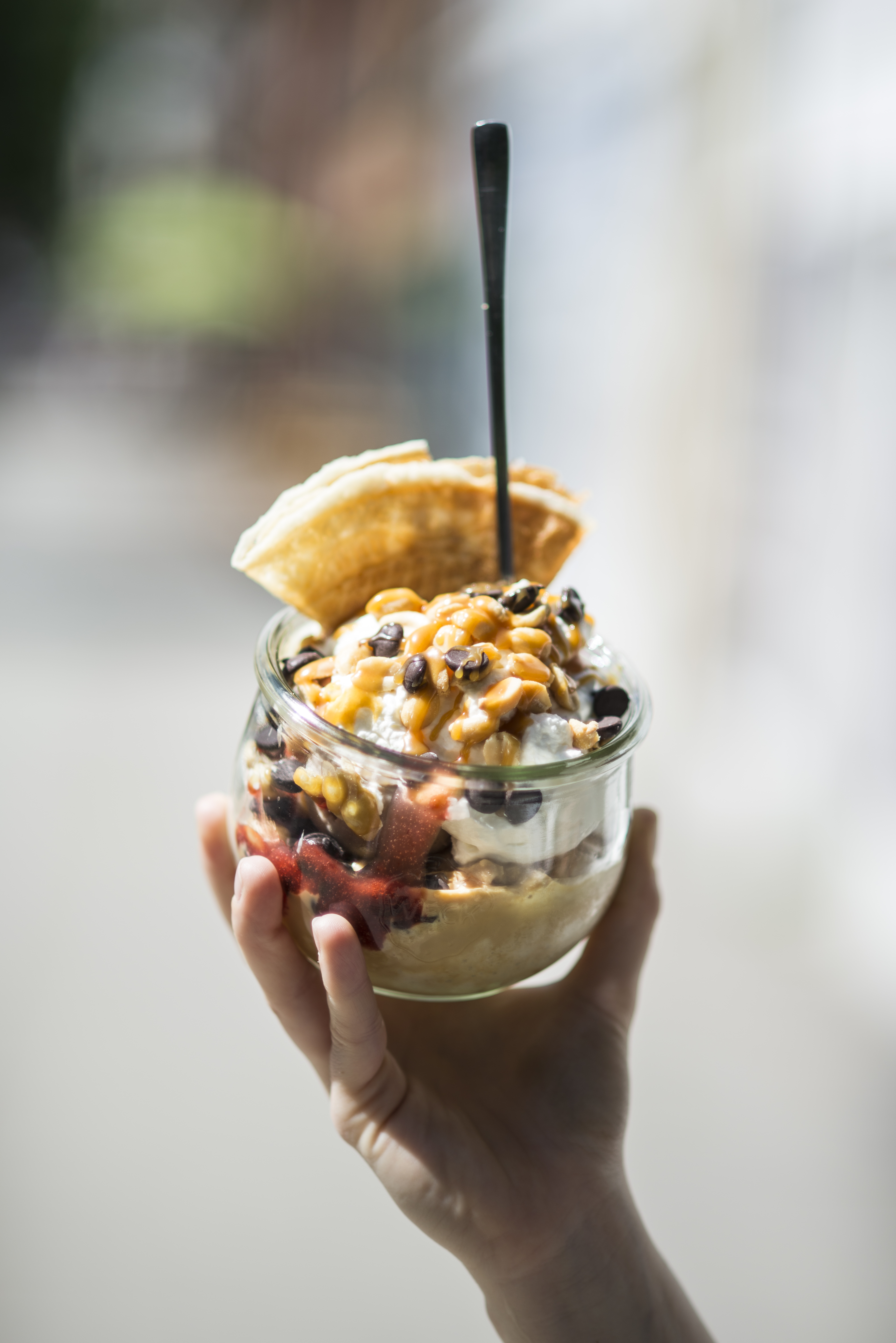 Luicella's Ice Cream