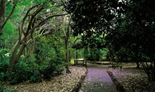 Jardín Botánico Viera and Clavijo