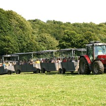 Öströö Sheepfarm