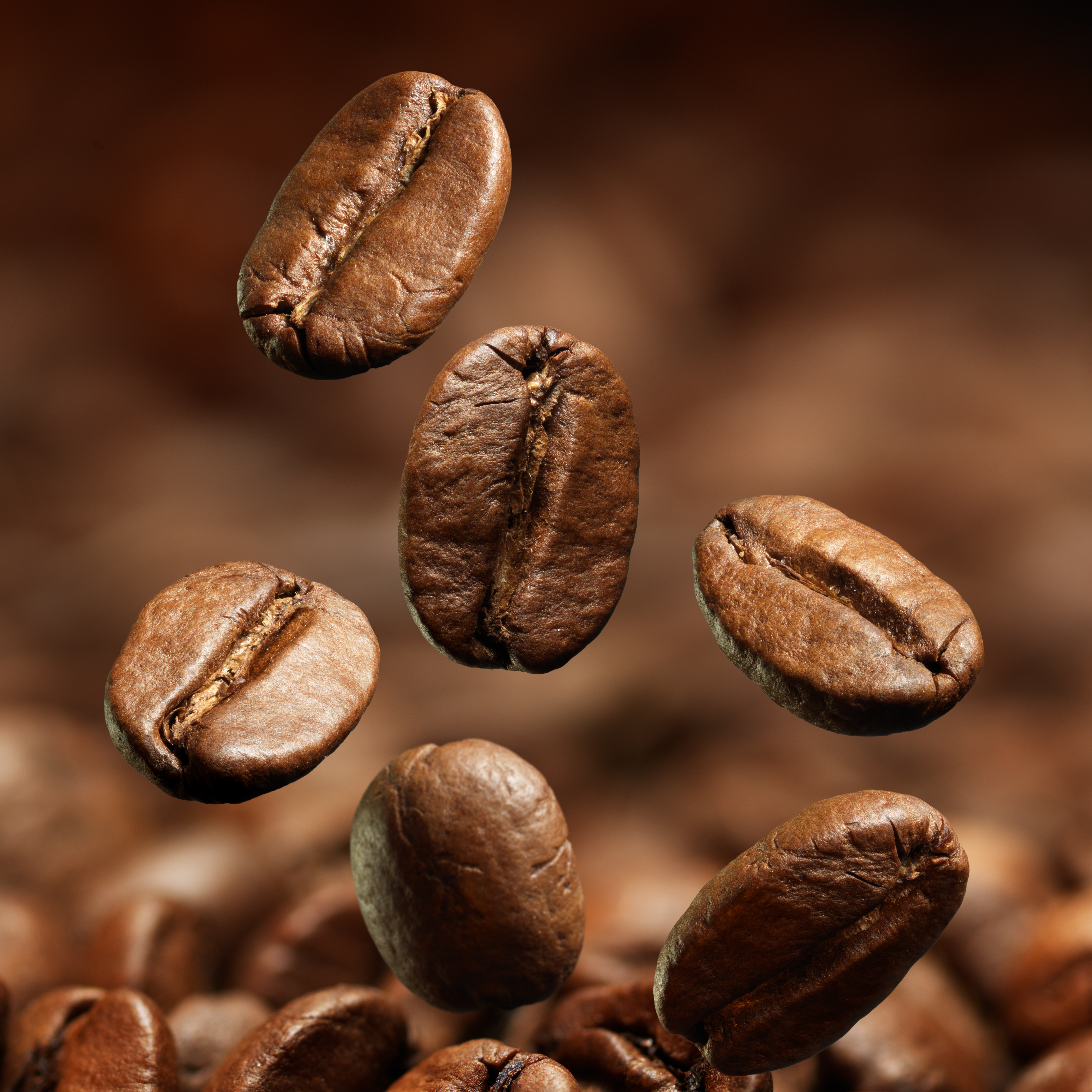 Closeup of coffee beans with focus on one