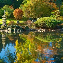 Ogrod Japonski (Japanese Garden)