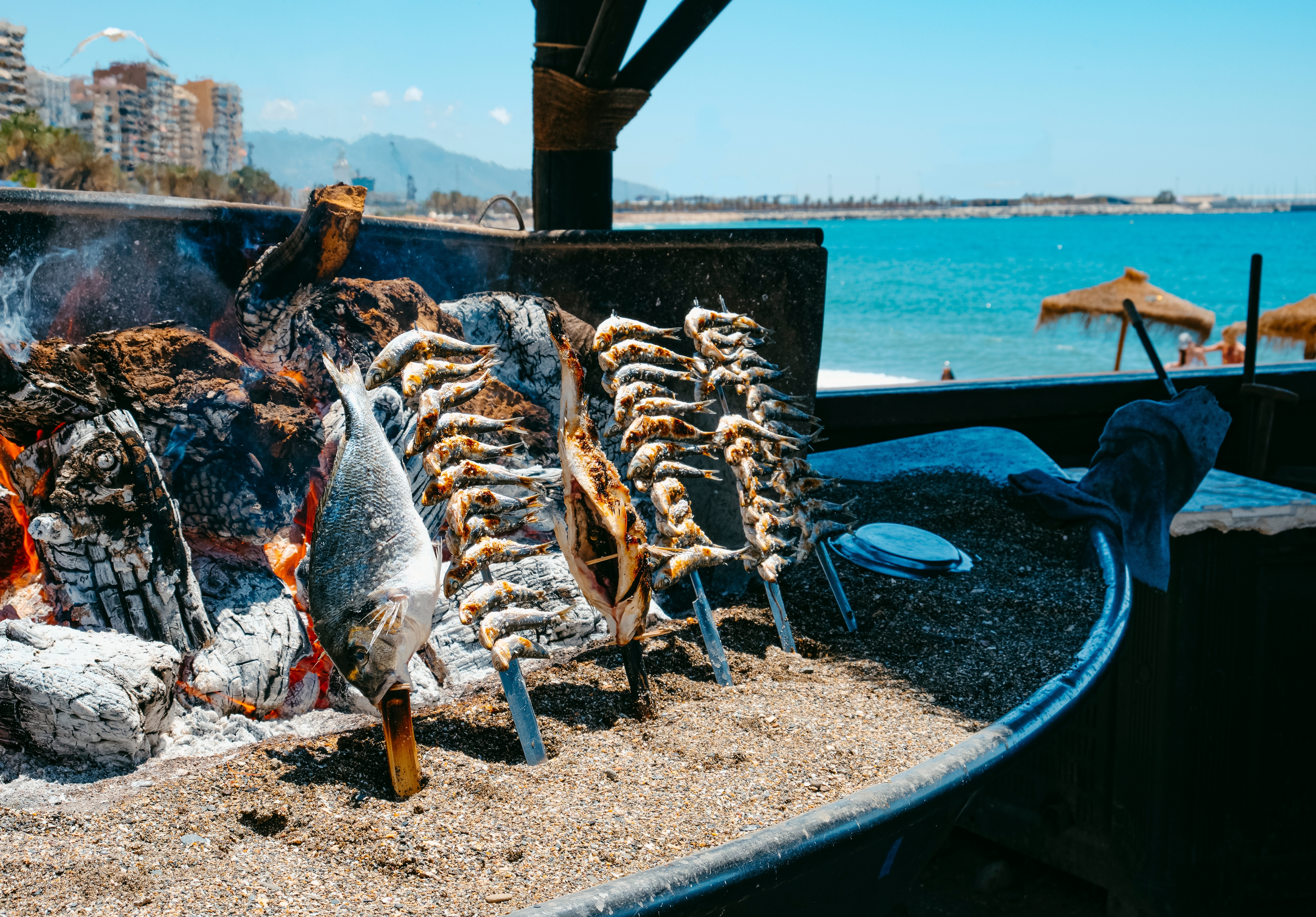 closeup of some espetos, a kind of skewers where fish is skewered, beeing cooked in a wood fire, as is traditional in Malaga, in La Malagueta beach, Malaga, Spain