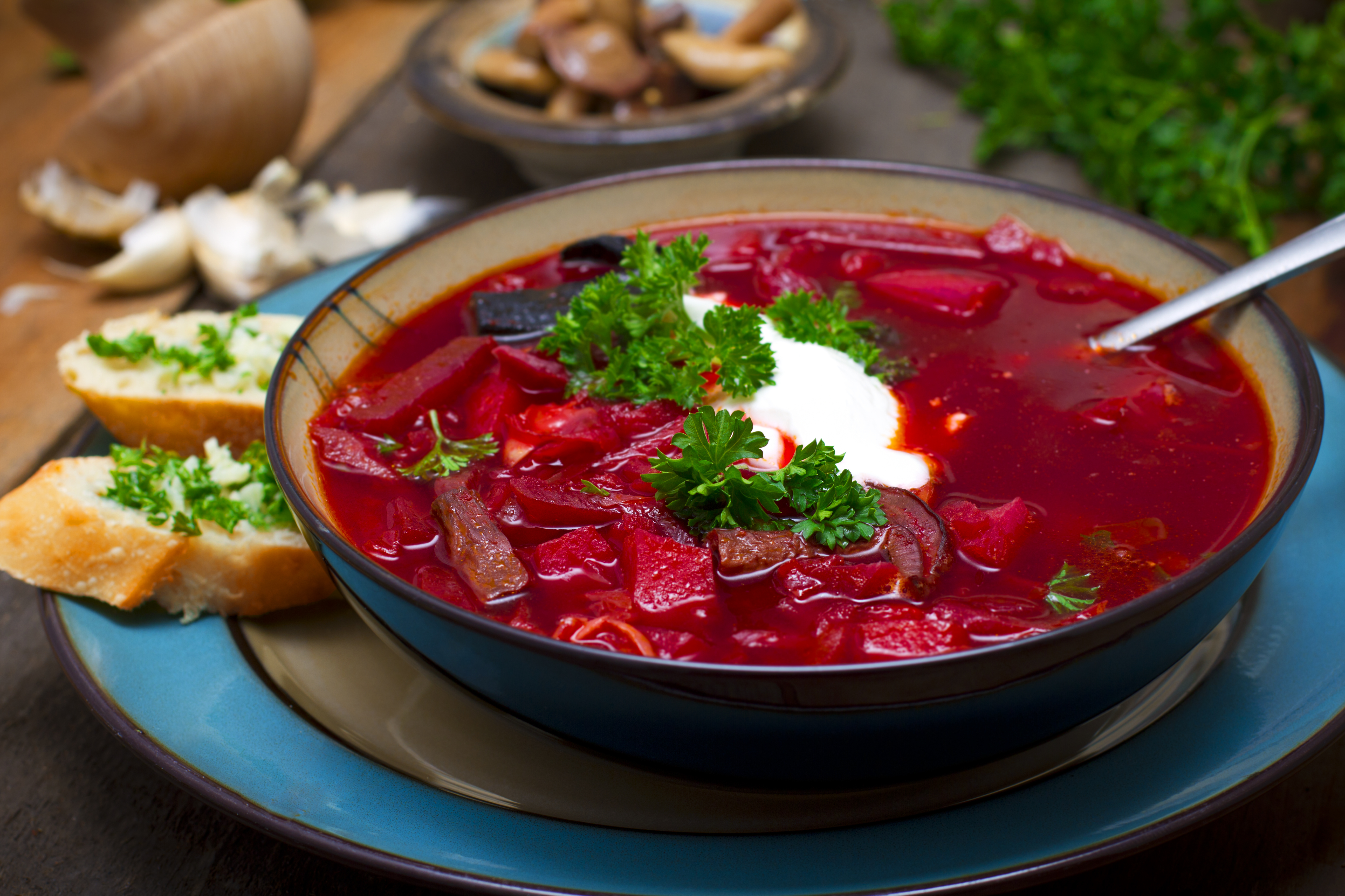 Borsh russian soup