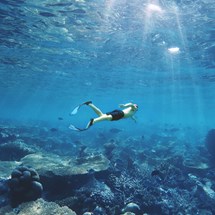 Scuba Diving and Snorkelling